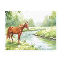 Paard Rivier Vreedzaam Aquarel Natuur Ansichtkaart