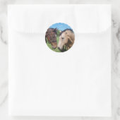 Paard Romance Stickers (Tas)