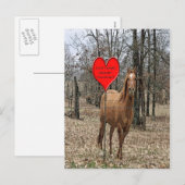 Paard rond Valentijn na Kaart (Voorkant / Achterkant)