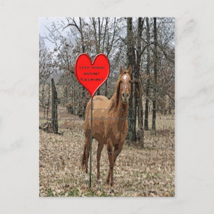 Paard rond Valentijn na Kaart