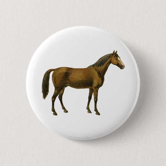 paard ronde button 5,7 cm (Voorkant)