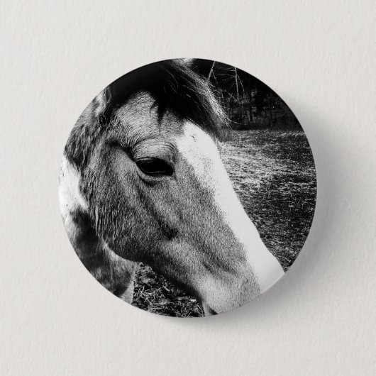 Paard Ronde Button 5,7 Cm (Voorkant)