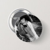 Paard Ronde Button 5,7 Cm (Voorkant /achterkant)