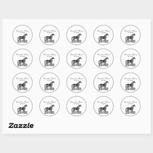  paard ronde sticker (Vel)