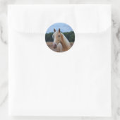 Paard Ronde Sticker (Tas)
