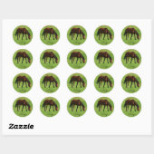 Paard Ronde Sticker (Vel)