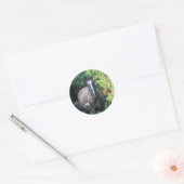 Paard Ronde Sticker (Envelop)