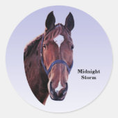 Paard Ronde Sticker (Voorkant)