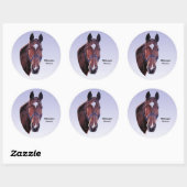 Paard Ronde Sticker (Vel)