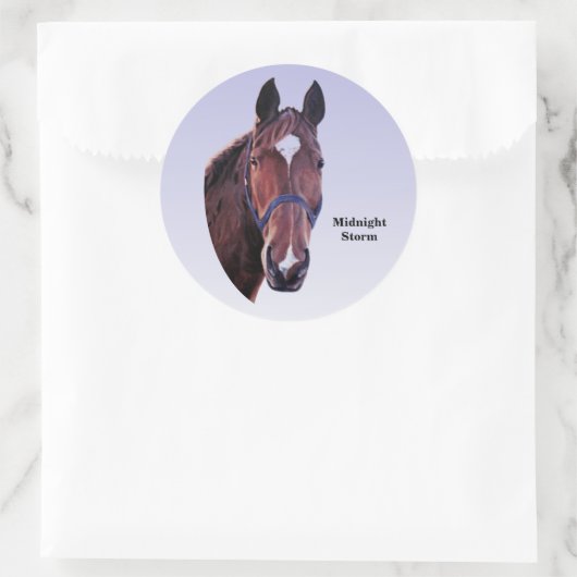 Paard Ronde Sticker (Tas)