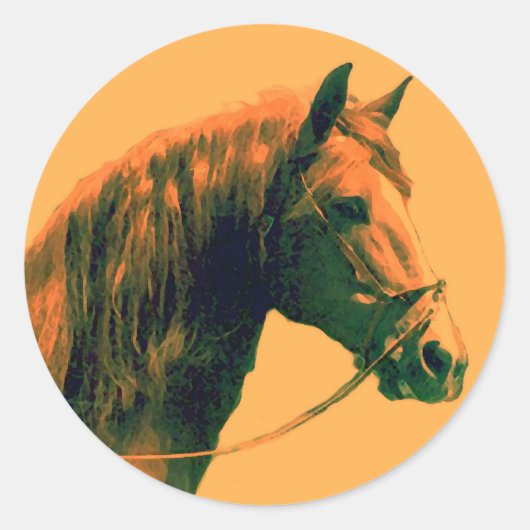Paard Ronde Sticker (Voorkant)