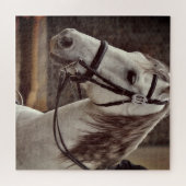 Paard Ruiterpuzzel Andalusisch Legpuzzel (Horizontaal)