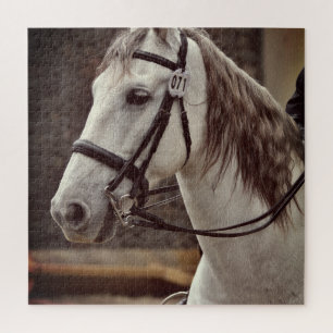 Paard Ruiterpuzzel Andalusisch Legpuzzel