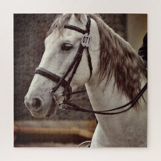 Paard Ruiterpuzzel Andalusisch Legpuzzel (Verticaal)