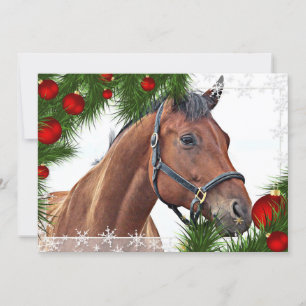 Paard Ruitersport Kerstfeest Paardenfeest Leuke Po Kaart