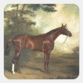  Paard Ruitersport Vierkante Sticker (Voorkant)