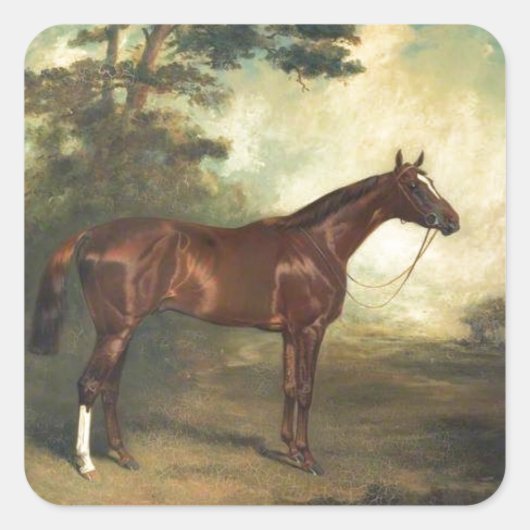 Paard Ruitersport Vierkante Sticker (Voorkant)