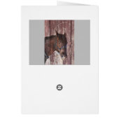 Paard & schuur kijken naar je verjaardags wenskaar (Achterkant)