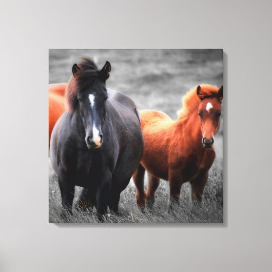 Paard Selectieve Kleur Minimalistische Fotografie  Canvas Afdruk (Voorkant)