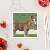 Paard Servetten (Insitu)