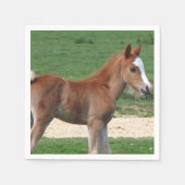 Paard Servetten (Voorkant)