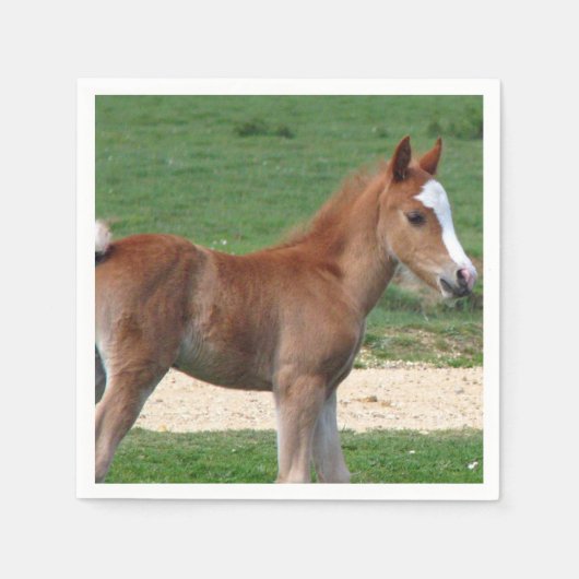 Paard Servetten (Voorkant)