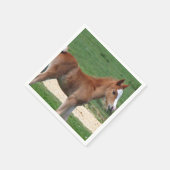 Paard Servetten (Hoek)