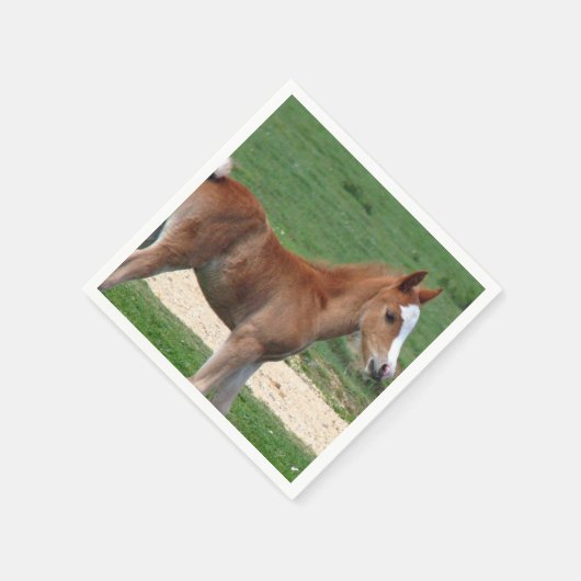 Paard Servetten (Hoek)