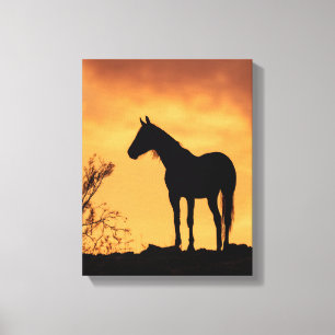 Paard Silhouet Vurig Zonsondergang Hemel Kunst Canvas Afdruk