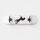 Paard Skateboard (Horizontaal)