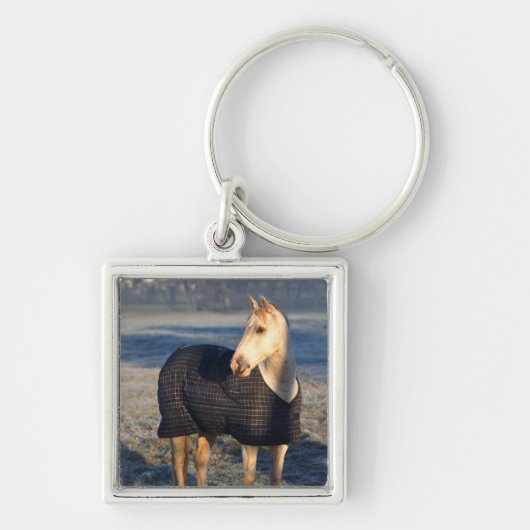 paard sleutelhanger (Voorkant)