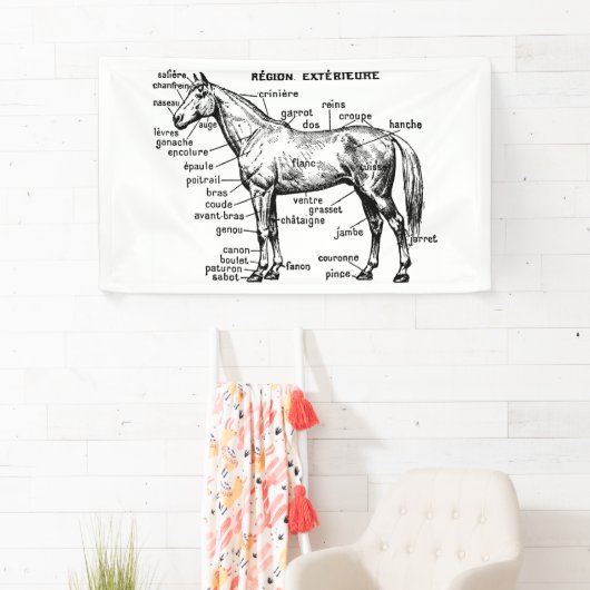 Paard Spandoek (Insitu)