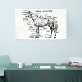 Paard Spandoek (Beurs)