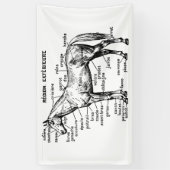 Paard Spandoek (Verticaal)