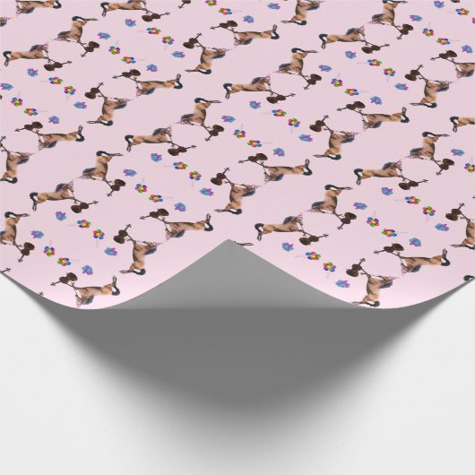 Paard speelt vioolverjaardag cadeaupapier (Hoek)