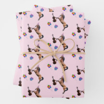 Paard speelt vioolverjaardag