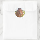 Paard sticker - heste klistermærke (Tas)