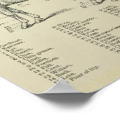 Paard Surface Anatomie Print (Hoek)