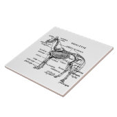 Paard Tegeltje (Zijkant)