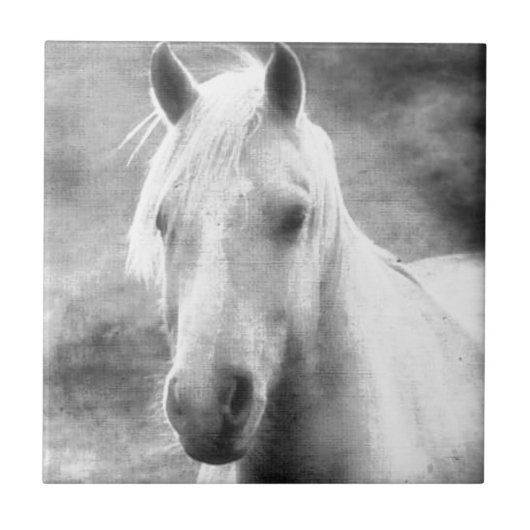 Paard Tegeltje (Voorkant)