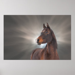 Paard tegen wolken poster
