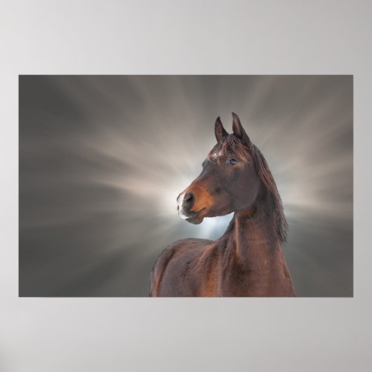 Paard tegen wolken poster (Voorkant)