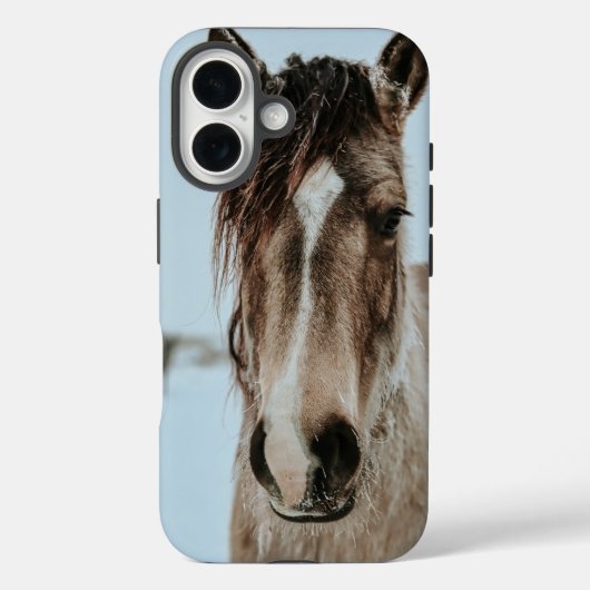 Paard telefoonhoesje iPhone 16 Case-Mate iPhone Case (Achterkant)