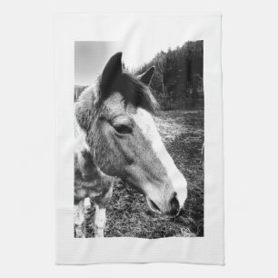 Paard Theedoek