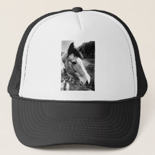 Paard Trucker Pet