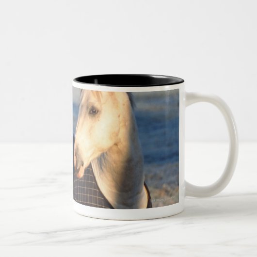 paard tweekleurige koffiemok (Rechts)