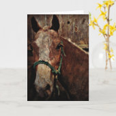 Paard, Vaderdag Kaart (Gele Bloem)