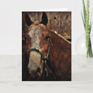 Paard, Vaderdag Kaart