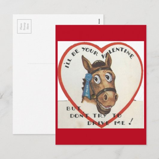  Paard Valentijn Feestdagenkaart (Voorkant / Achterkant)