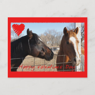 Paard Valentijn VI Feestdagenkaart